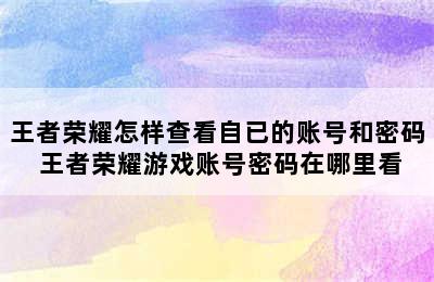 王者荣耀怎样查看自已的账号和密码 王者荣耀游戏账号密码在哪里看